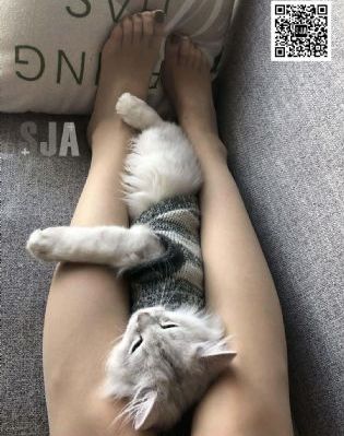 国产午夜一区_高清全集在线观看