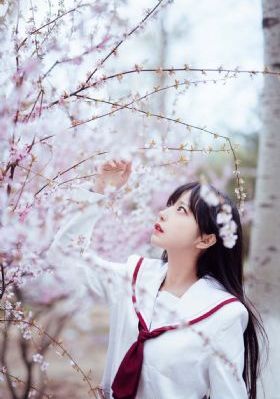 欧美日日图_高清免费观看电视剧